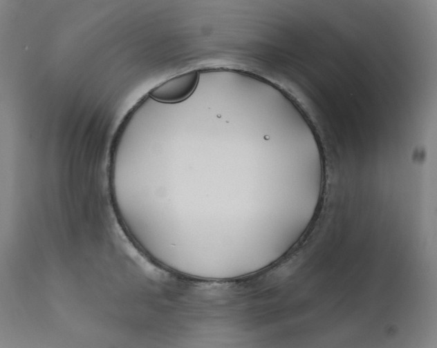 X0000112200902200909041314