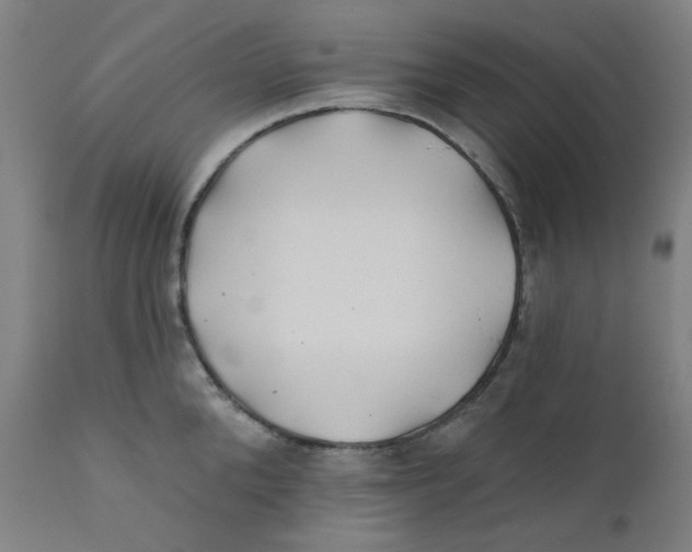 X0000112200904200909041314
