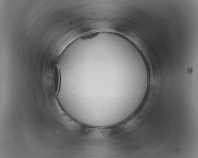 X0000112200905200909041314