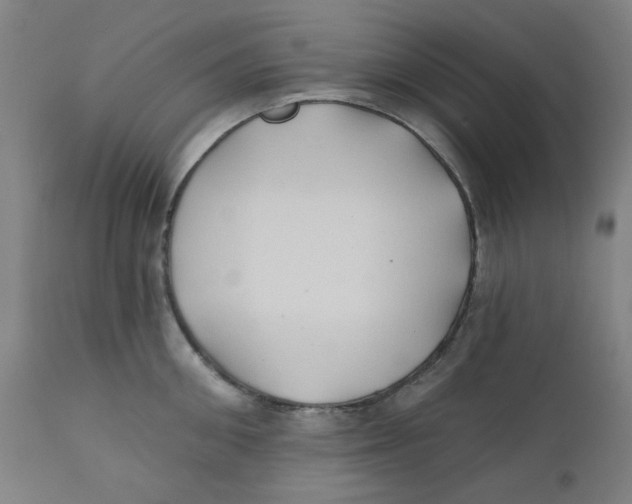 X0000112200906200909041314