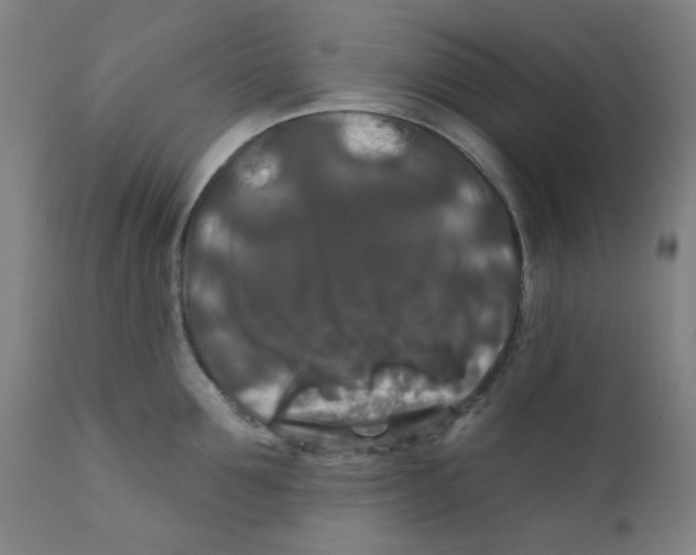 X0000112200907200909041314