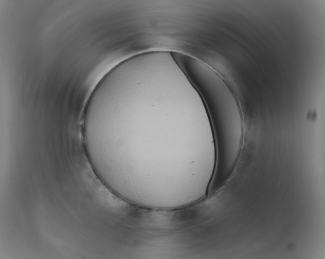 X0000112200908200909041314