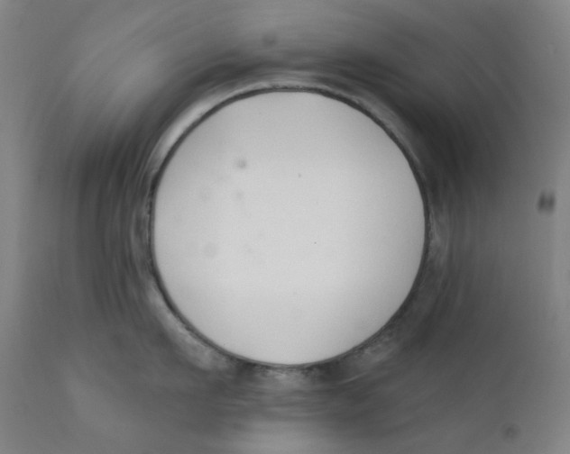 X0000112200911200909041314