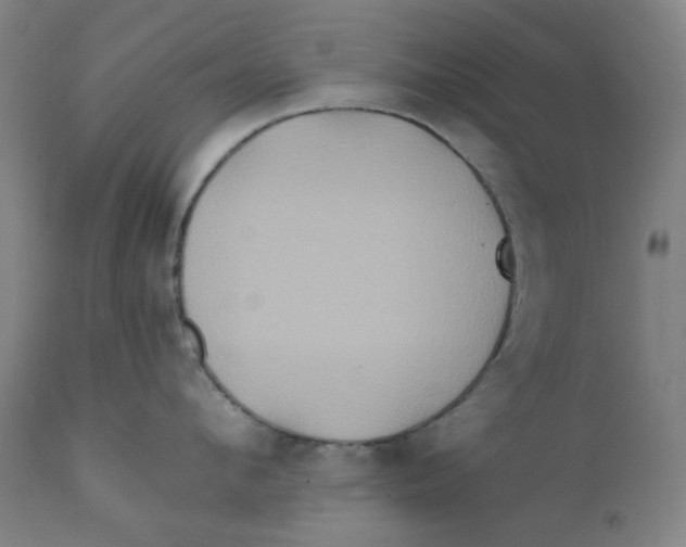 X0000112200912200909041314