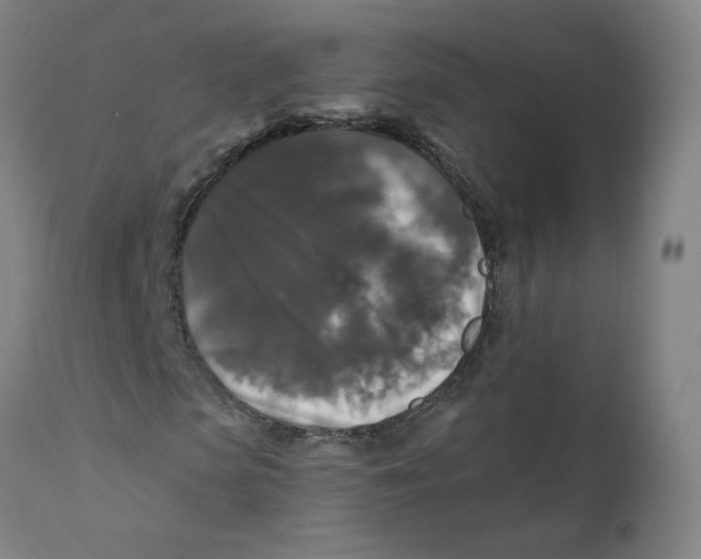 X0000112200913200909041313