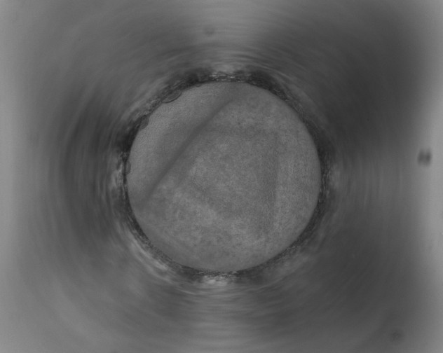 X0000112200914200909041313