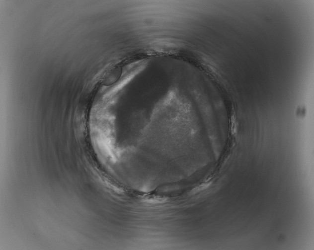 X0000112200915200909041313