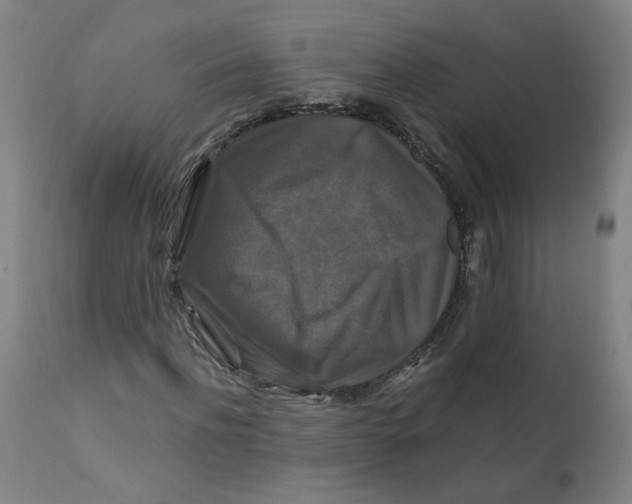 X0000112200916200909041313