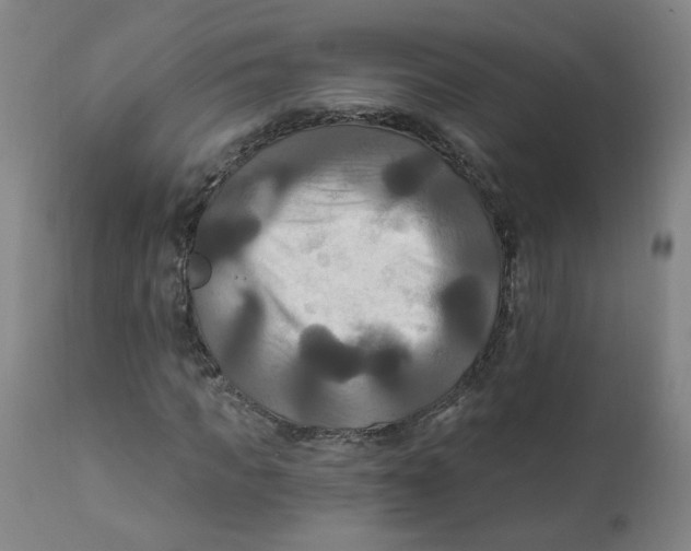 X0000112200917200909041313