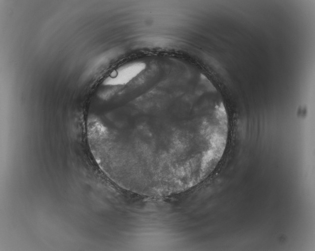 X0000112200918200909041313