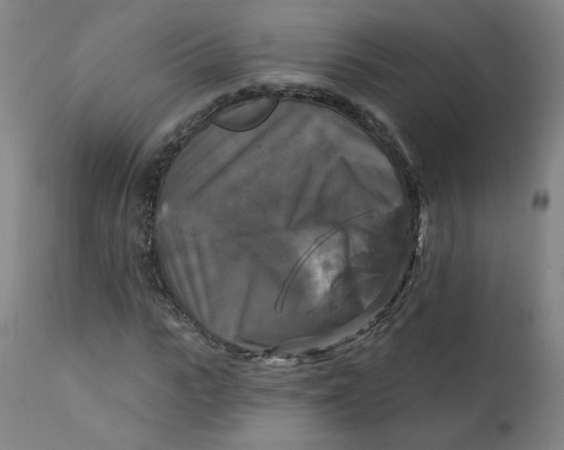 X0000112200919200909041313