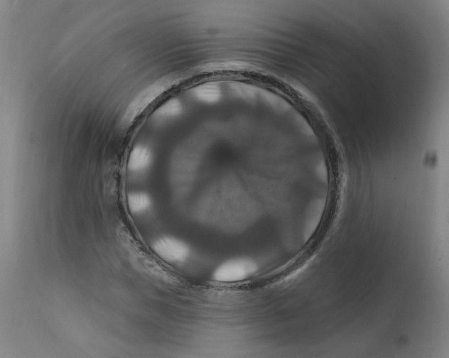 X0000112200921200909041313