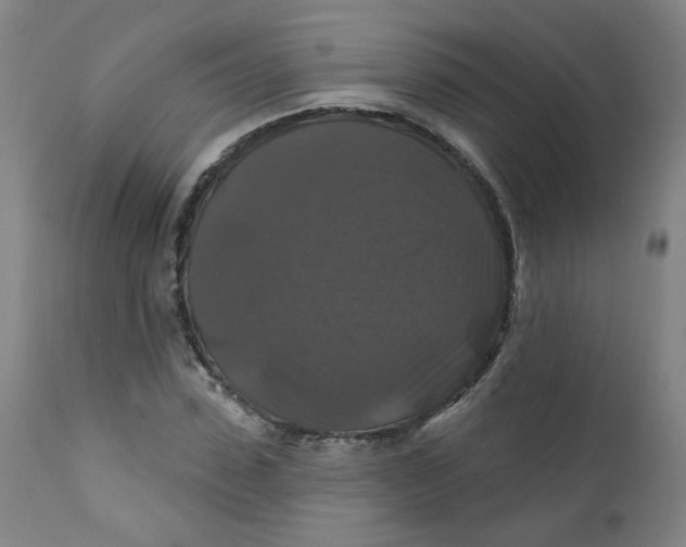 X0000112200923200909041313