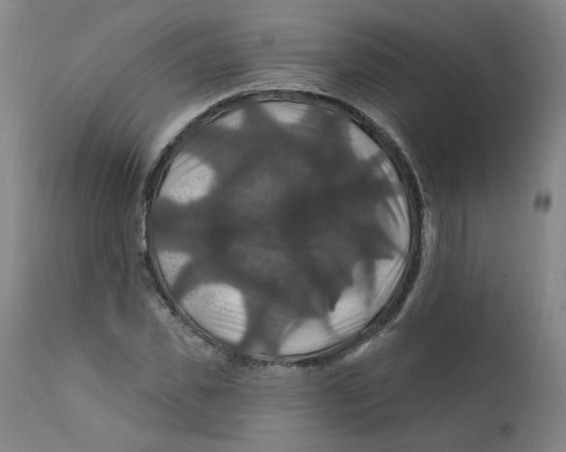 X0000112200925200909041314