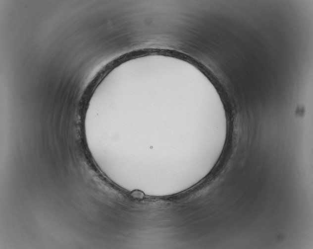 X0000112200926200909041314
