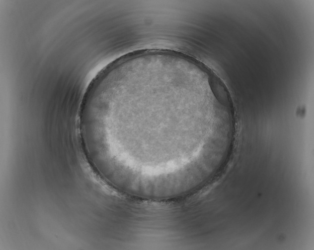 X0000112200928200909041314