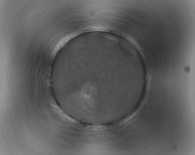 X0000112200930200909041314