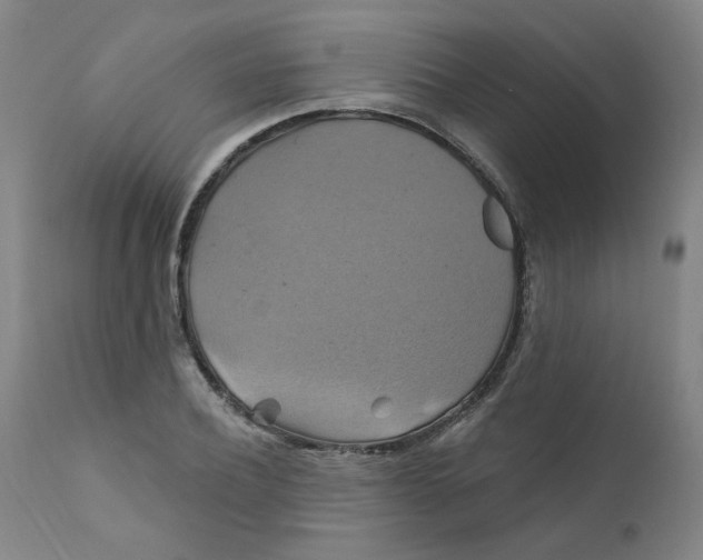 X0000112200932200909041314