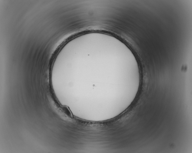 X0000112200934200909041314