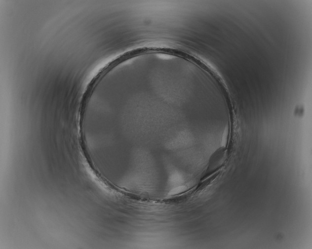 X0000112200935200909041314