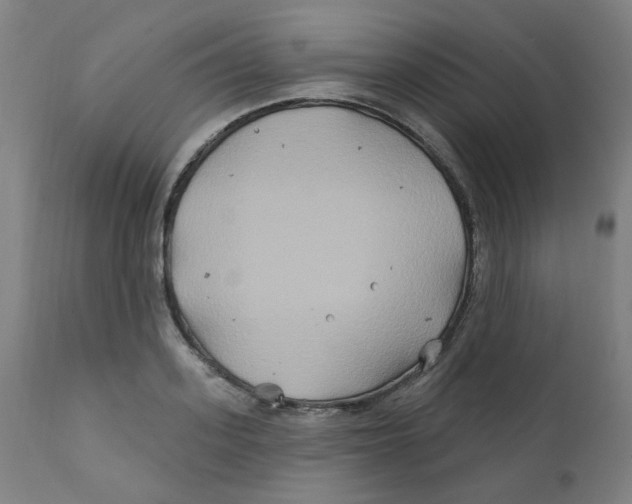 X0000112200939200909041314