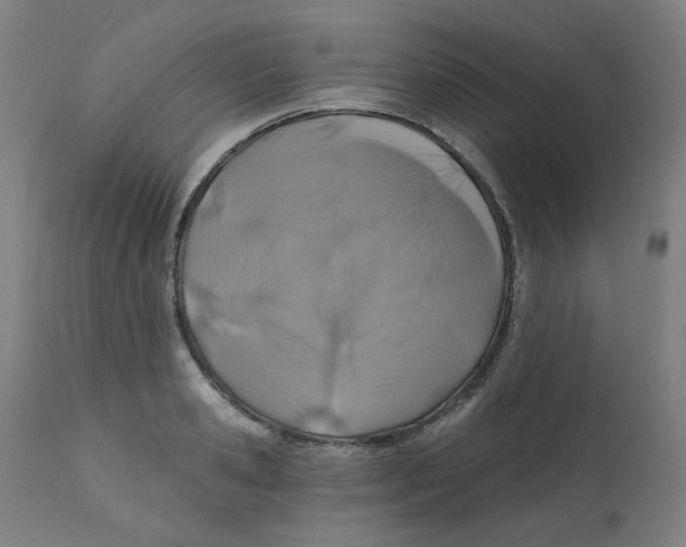 X0000112200941200909041314
