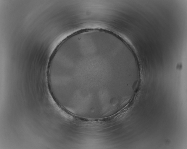 X0000112200943200909041314
