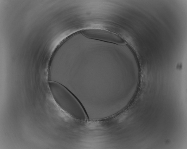 X0000112200944200909041314