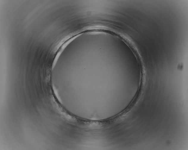 X0000112200945200909041314