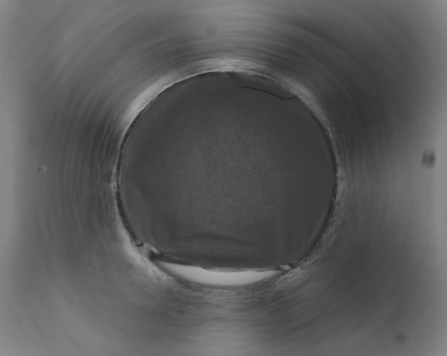 X0000112200946200909041314