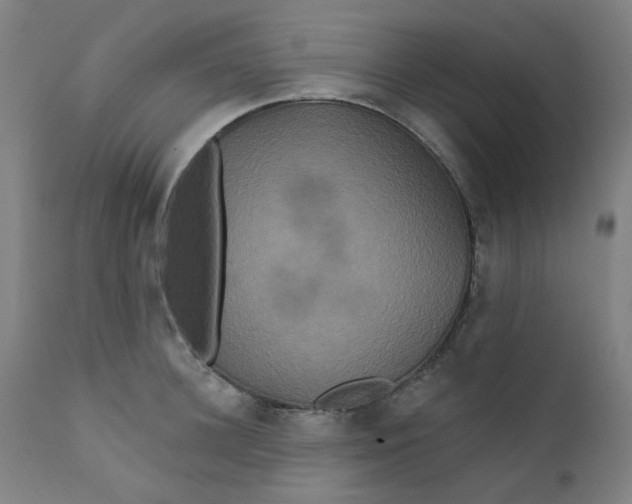 X0000112200948200909041314