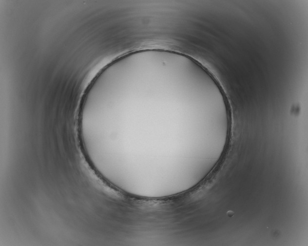 X0000112200949200909041314