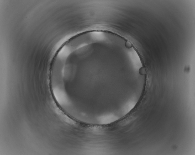X0000112200950200909041314