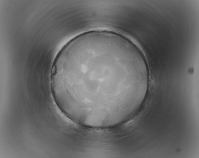 X0000112200951200909041314