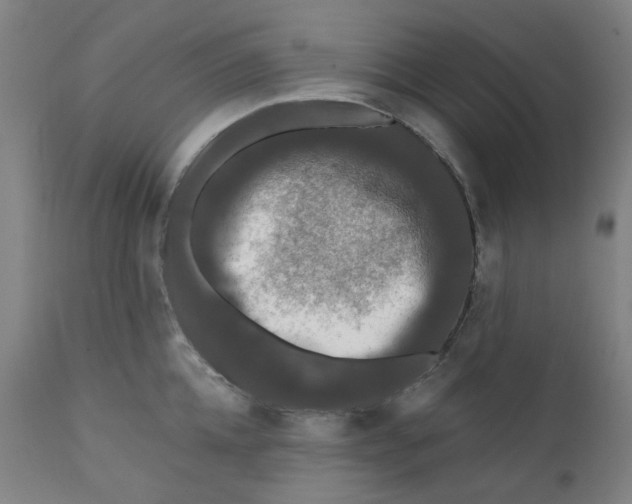 X0000112200952200909041314