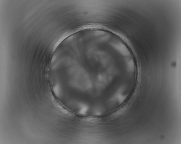 X0000112200953200909041314