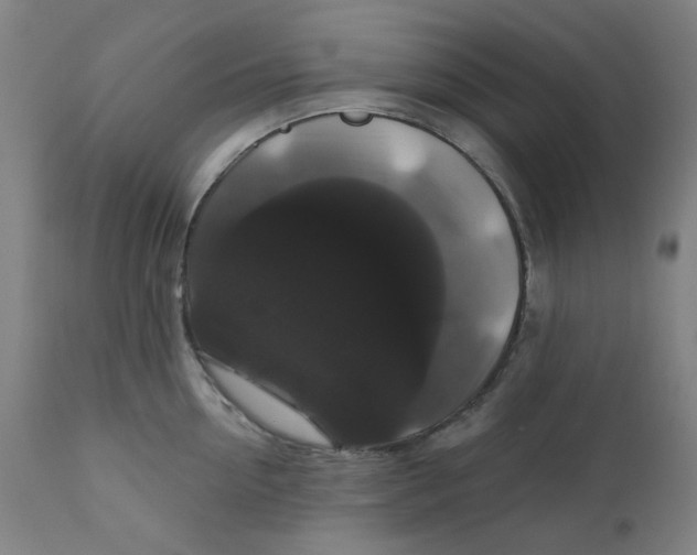 X0000112200954200909041314
