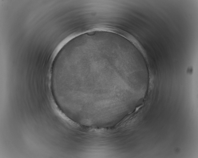 X0000112200955200909041314