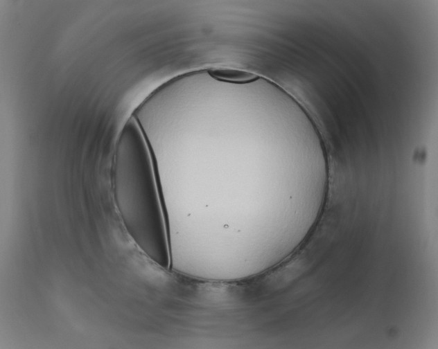 X0000112200956200909041314