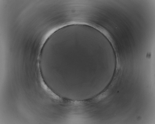 X0000112200958200909041314