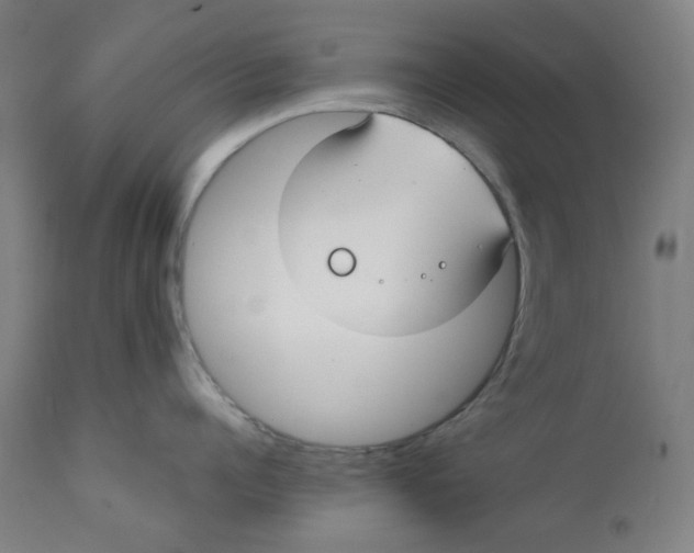 X0000112200960200909041314