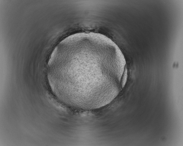 X0000112200961200909041313