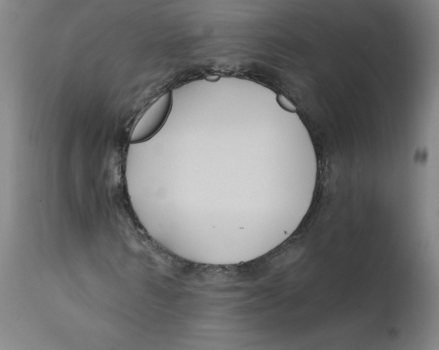 X0000112200962200909041313