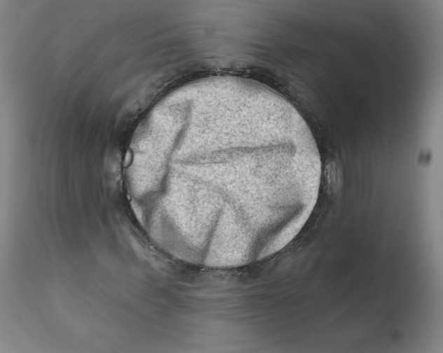 X0000112200963200909041313