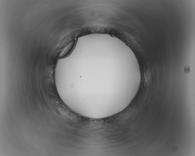 X0000112200964200909041313