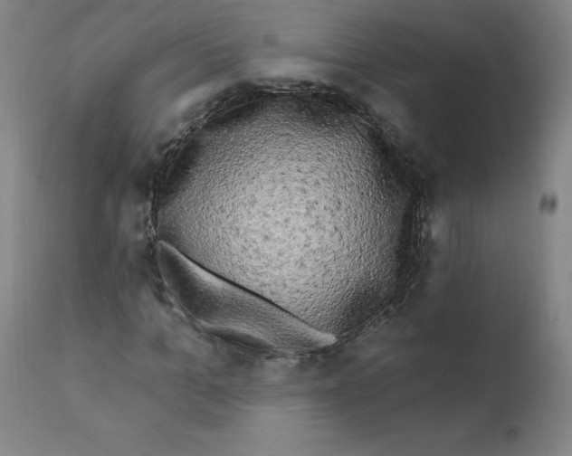 X0000112200965200909041313