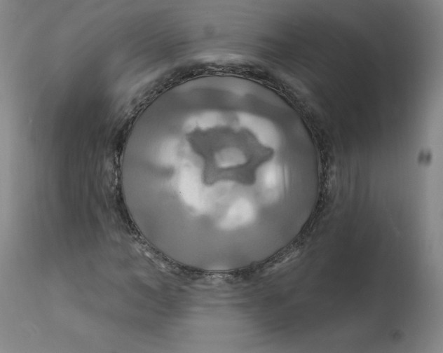 X0000112200966200909041313