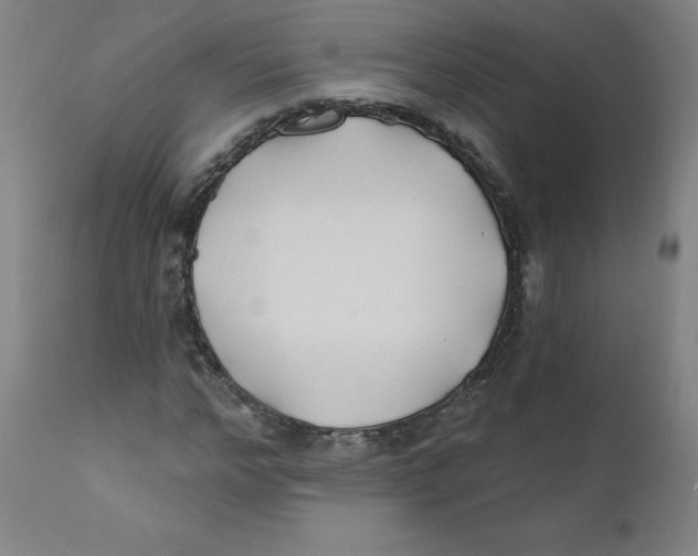X0000112200968200909041313