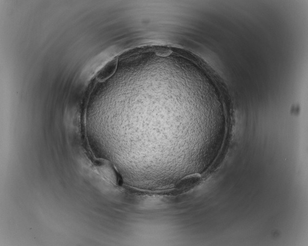 X0000112200969200909041313