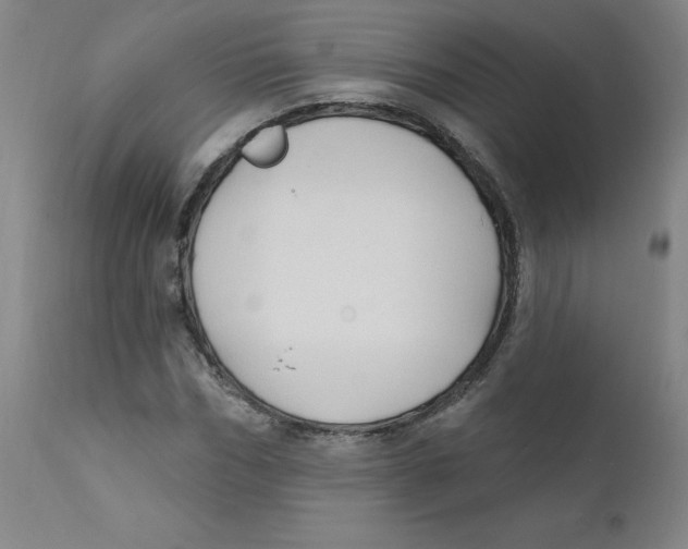 X0000112200970200909041313